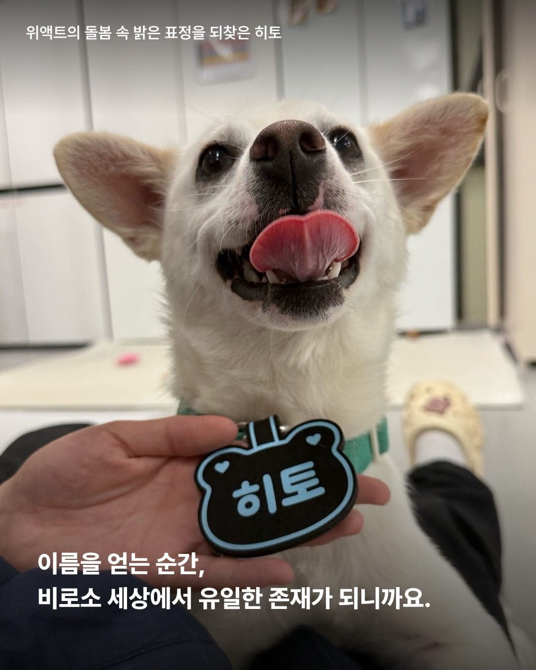 상세 사진 3