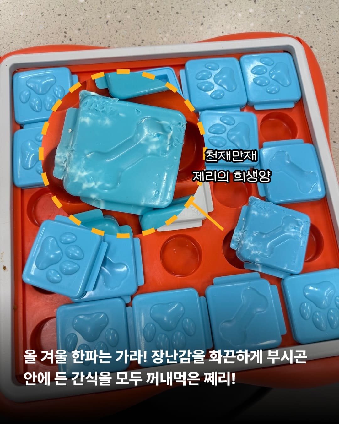 상세 사진 7