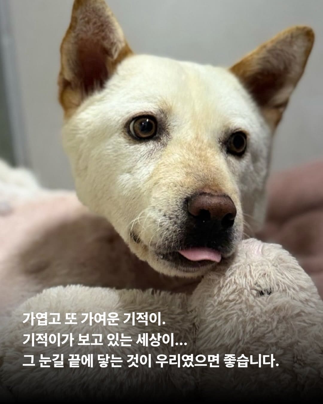 상세 사진 5