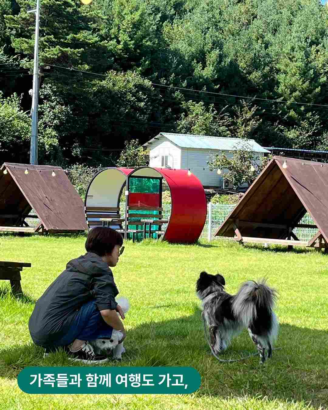 상세 사진 8