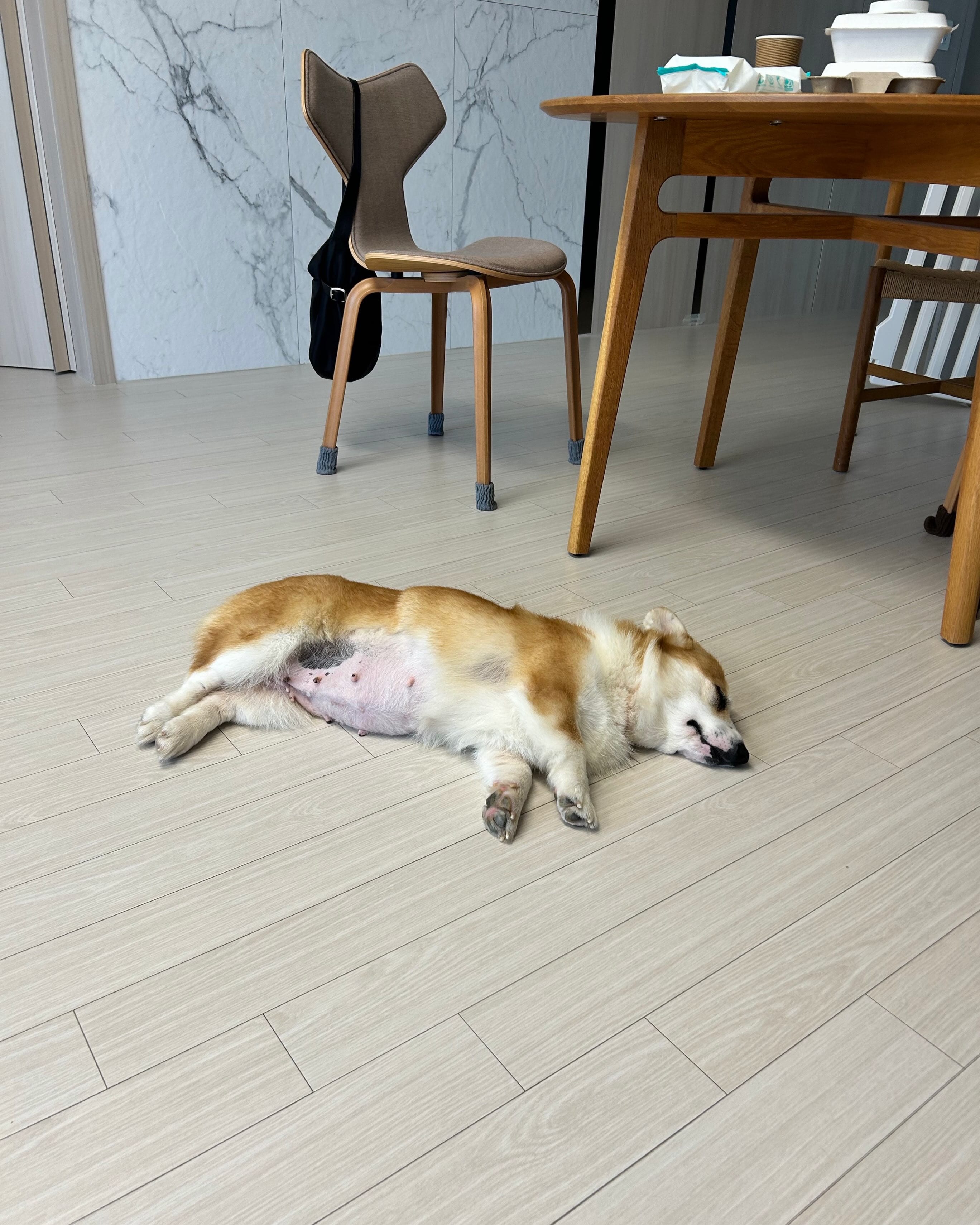 상세 사진 12