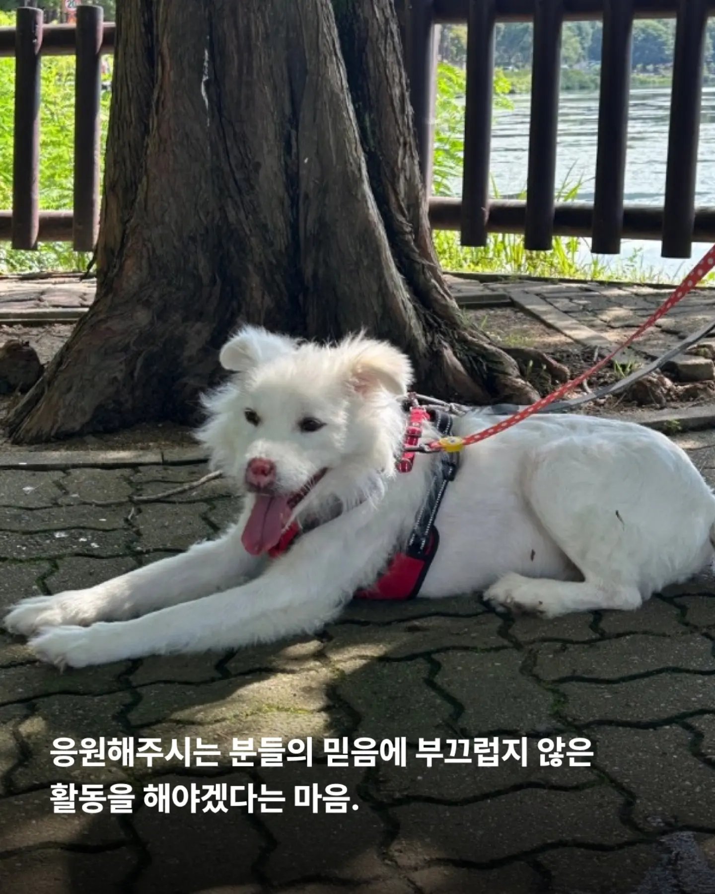 상세 사진 9