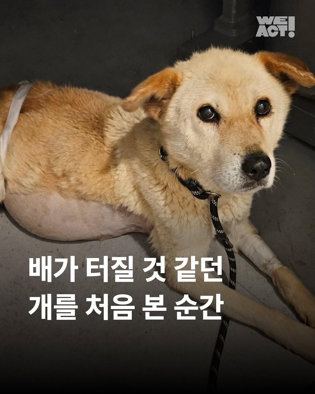 상세 사진 1