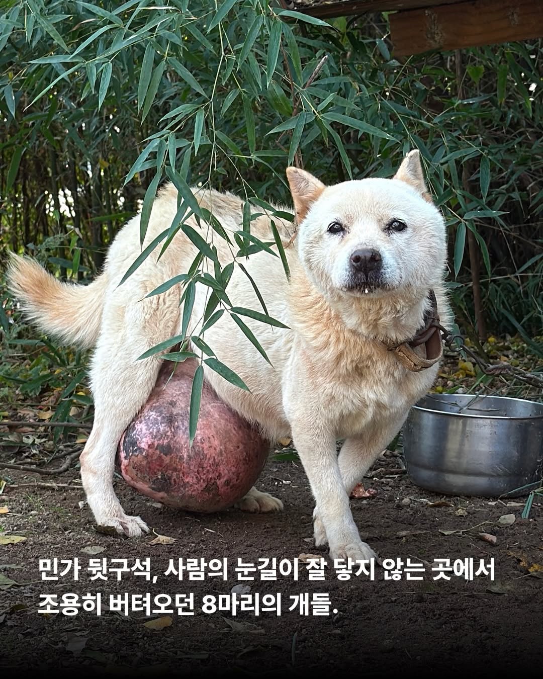 상세 사진 2