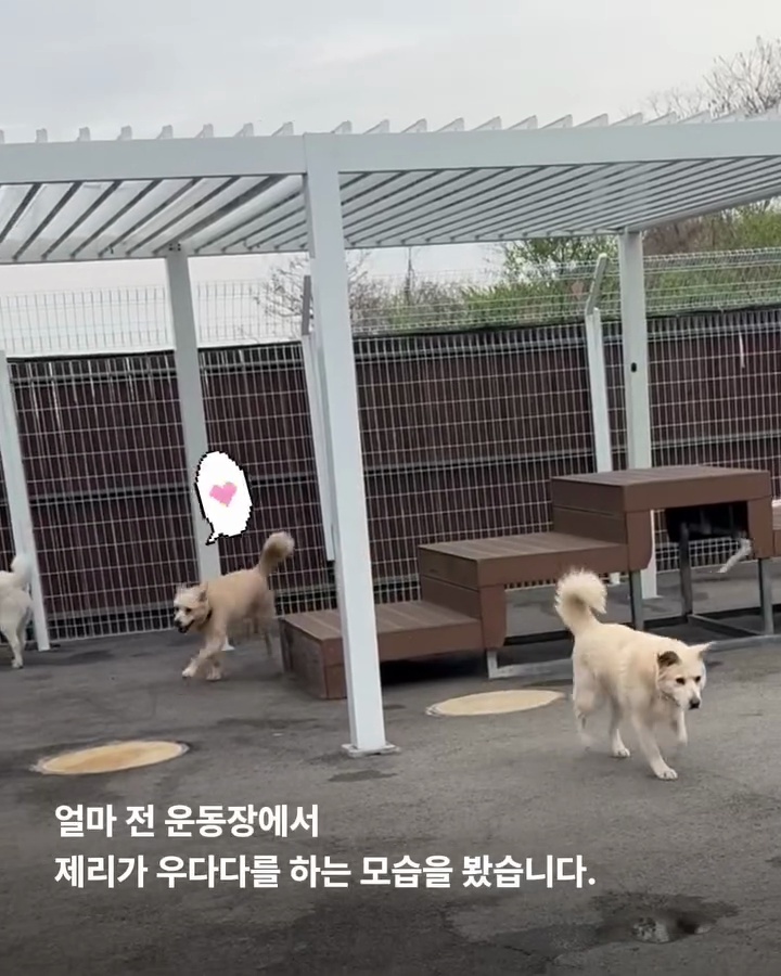 상세 사진 5