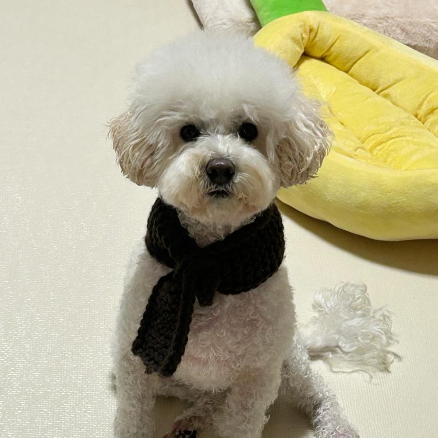 상세 사진 6