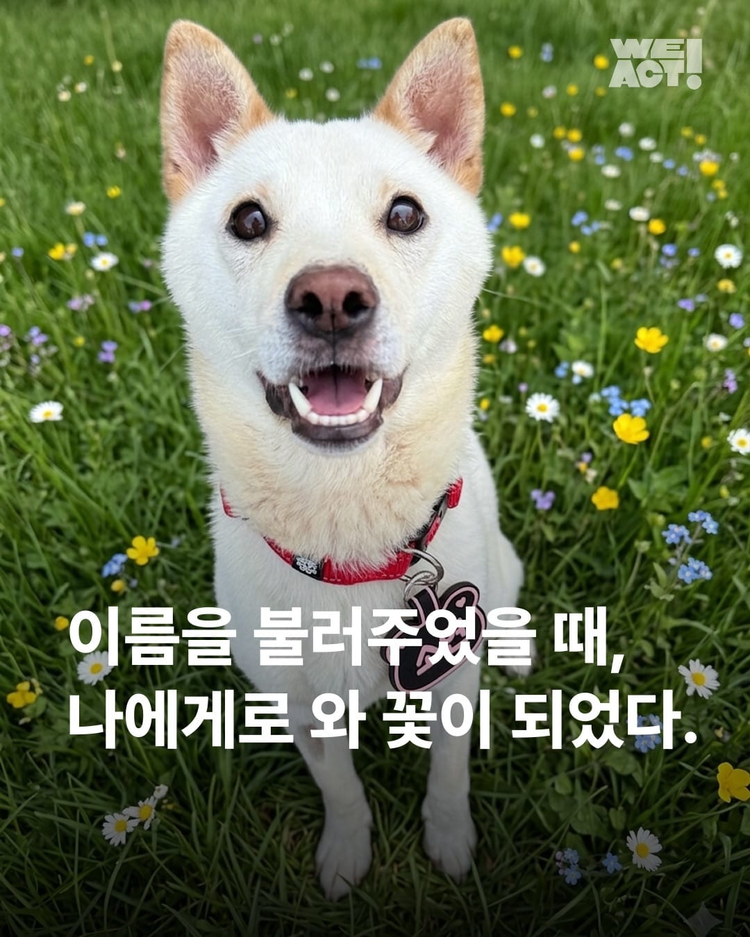 상세 사진 1