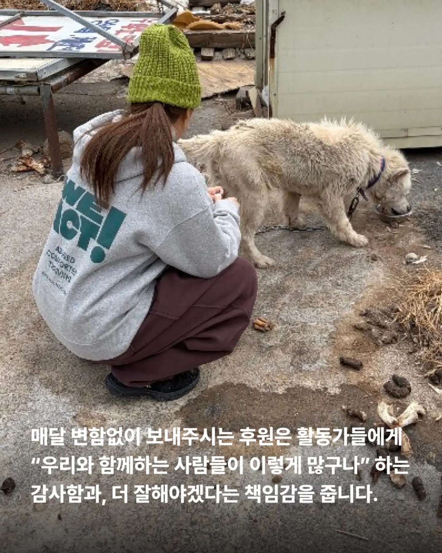 상세 사진 7