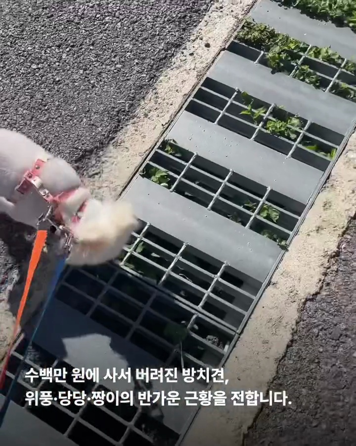상세 사진 4