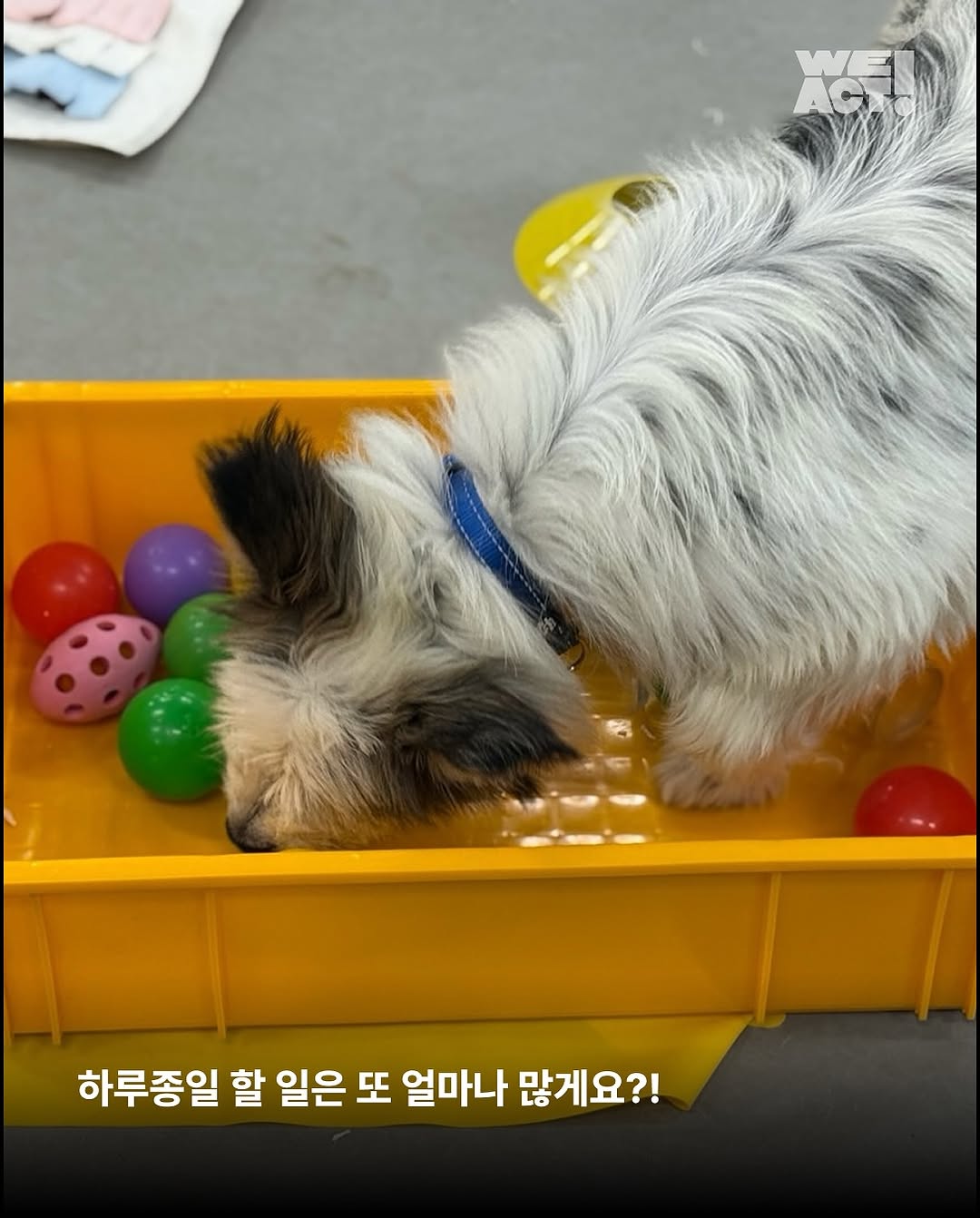 상세 사진 8