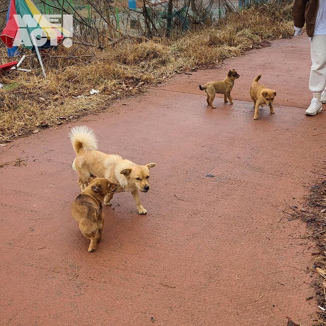 상세 사진 5