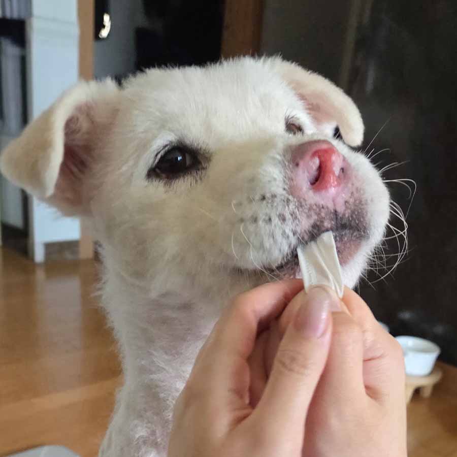 축복이