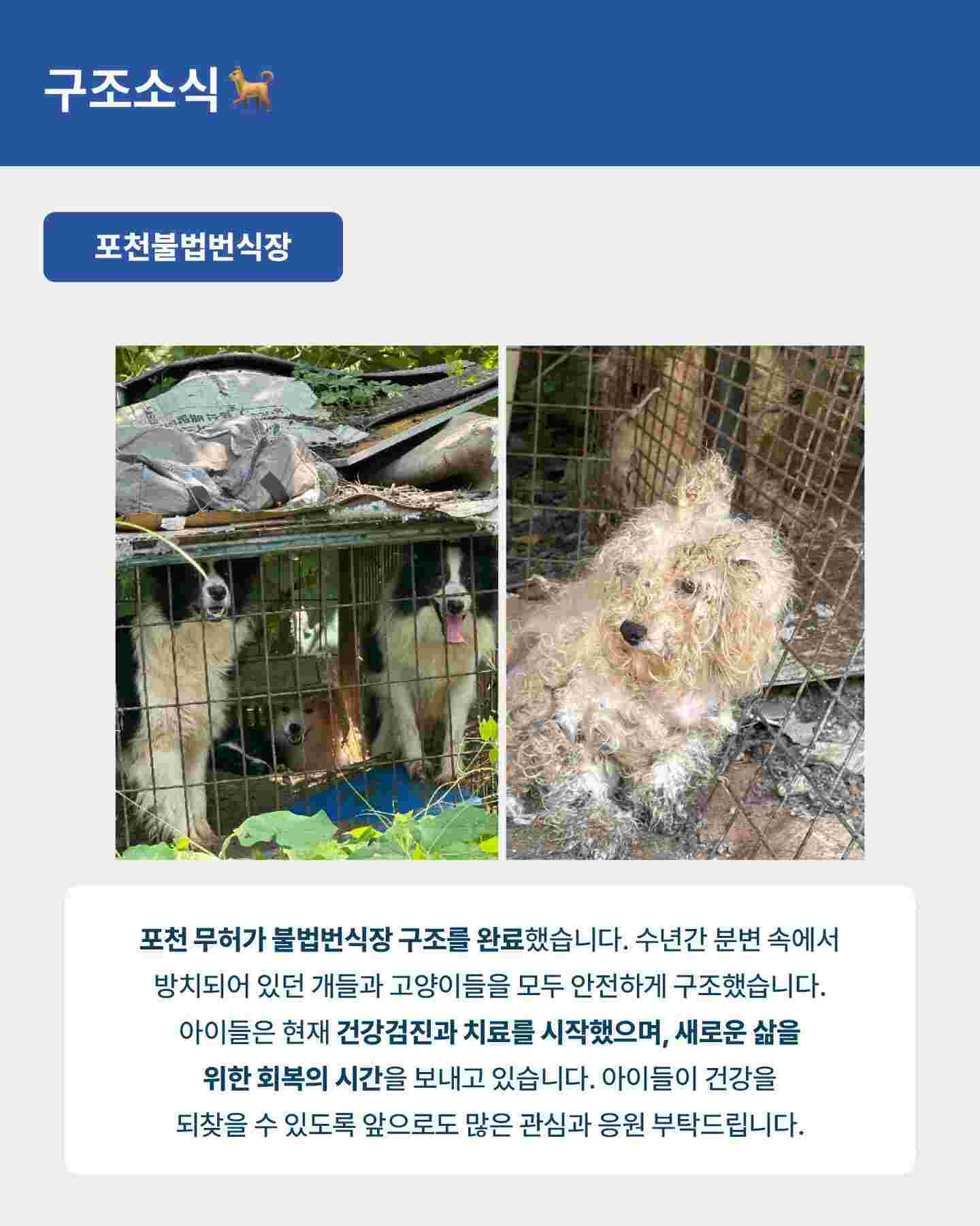 상세 사진 7