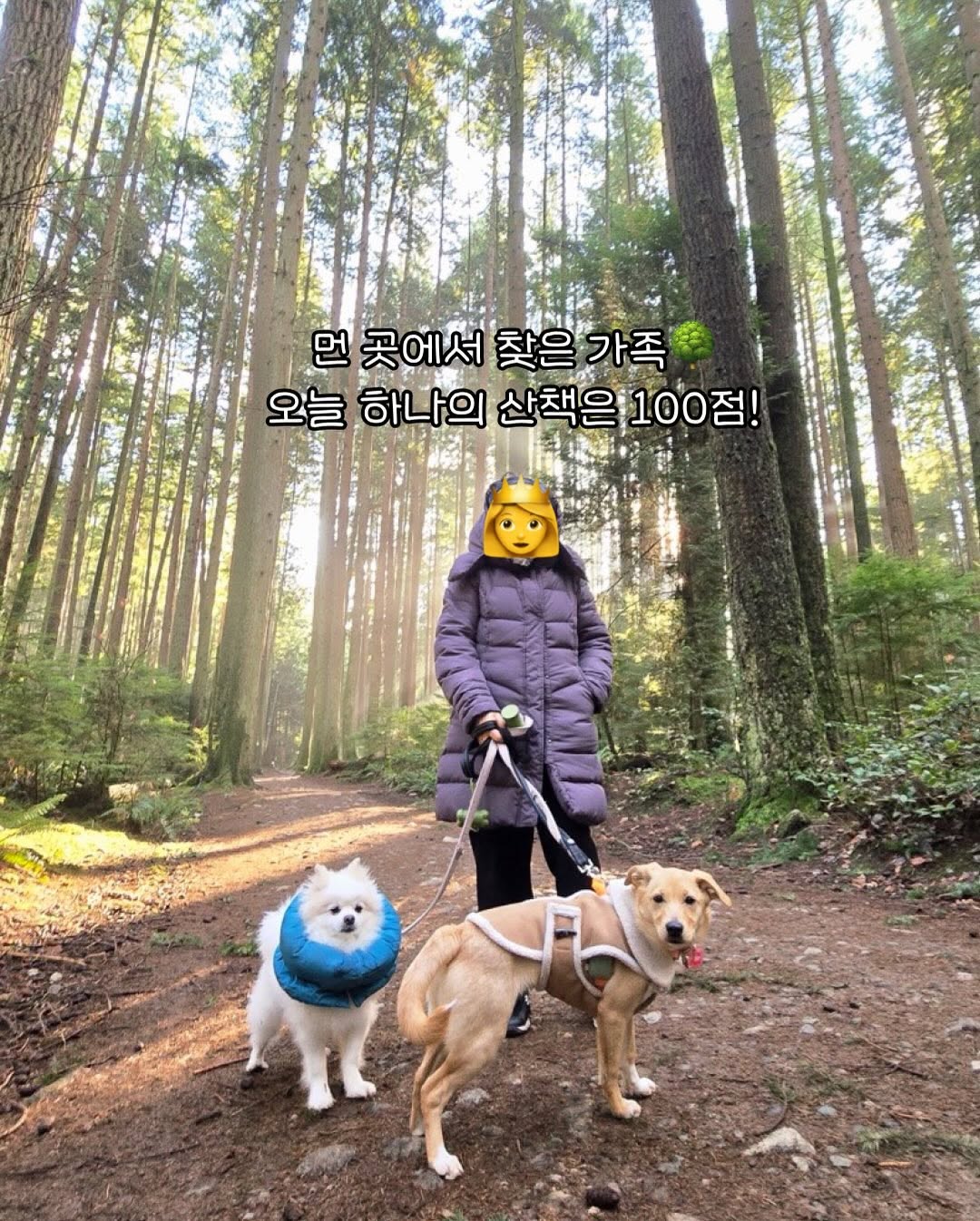 상세 사진 13