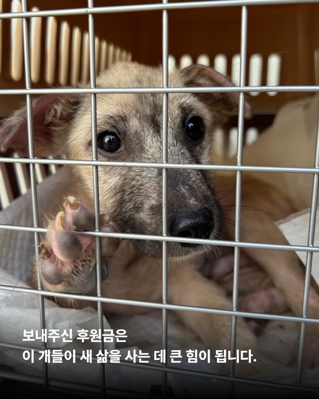 상세 사진 12