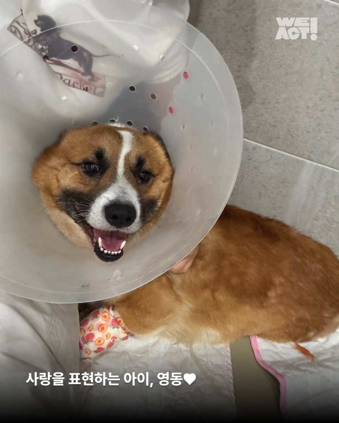 상세 사진 4