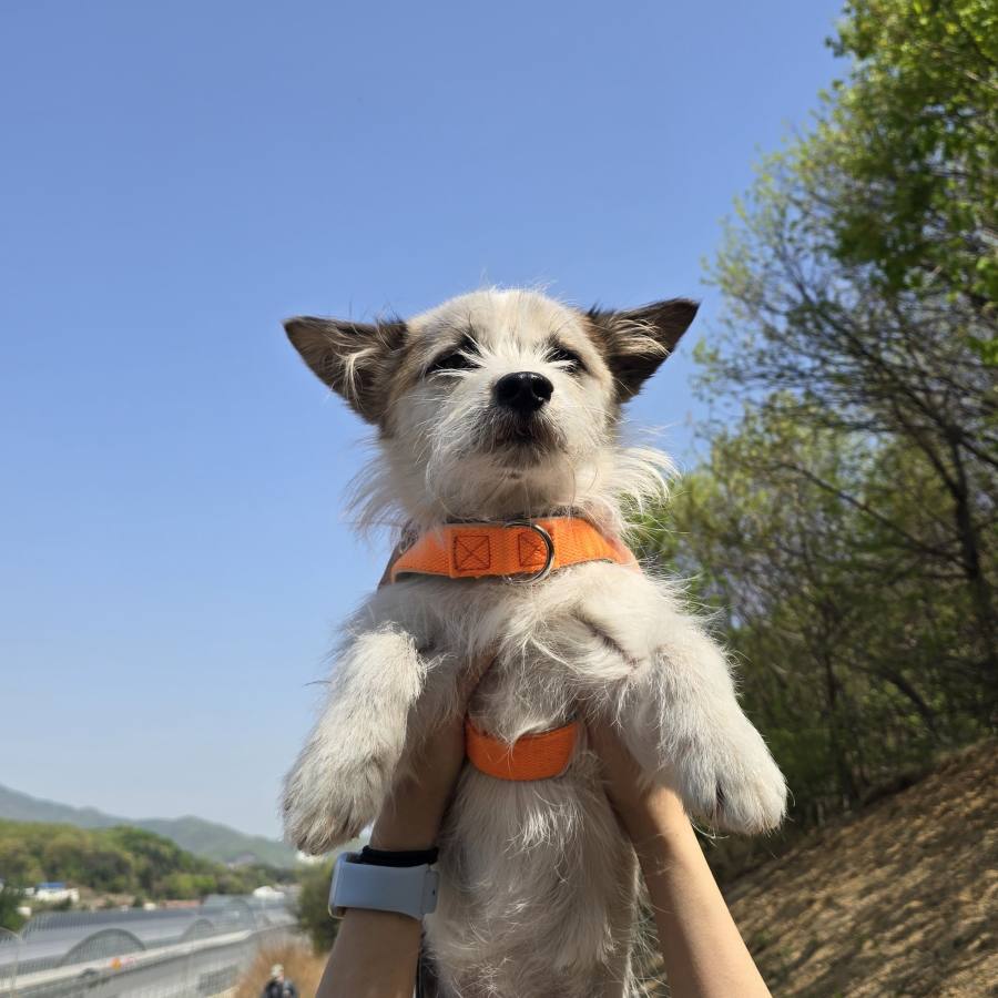 상세 사진 8