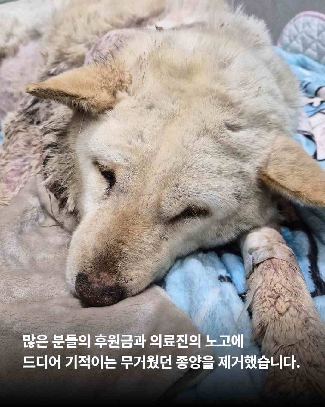 상세 사진 3