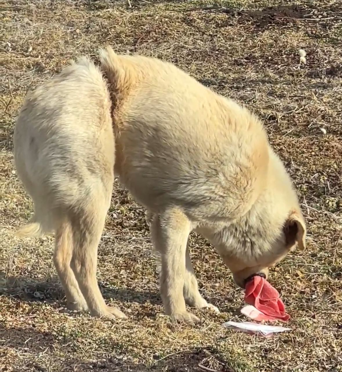 상세 사진 3