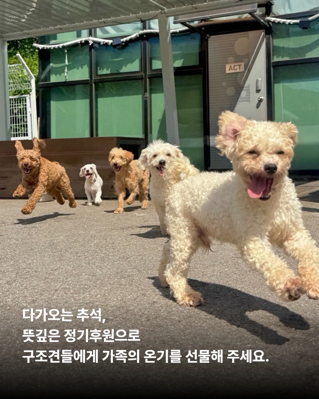 상세 사진 13