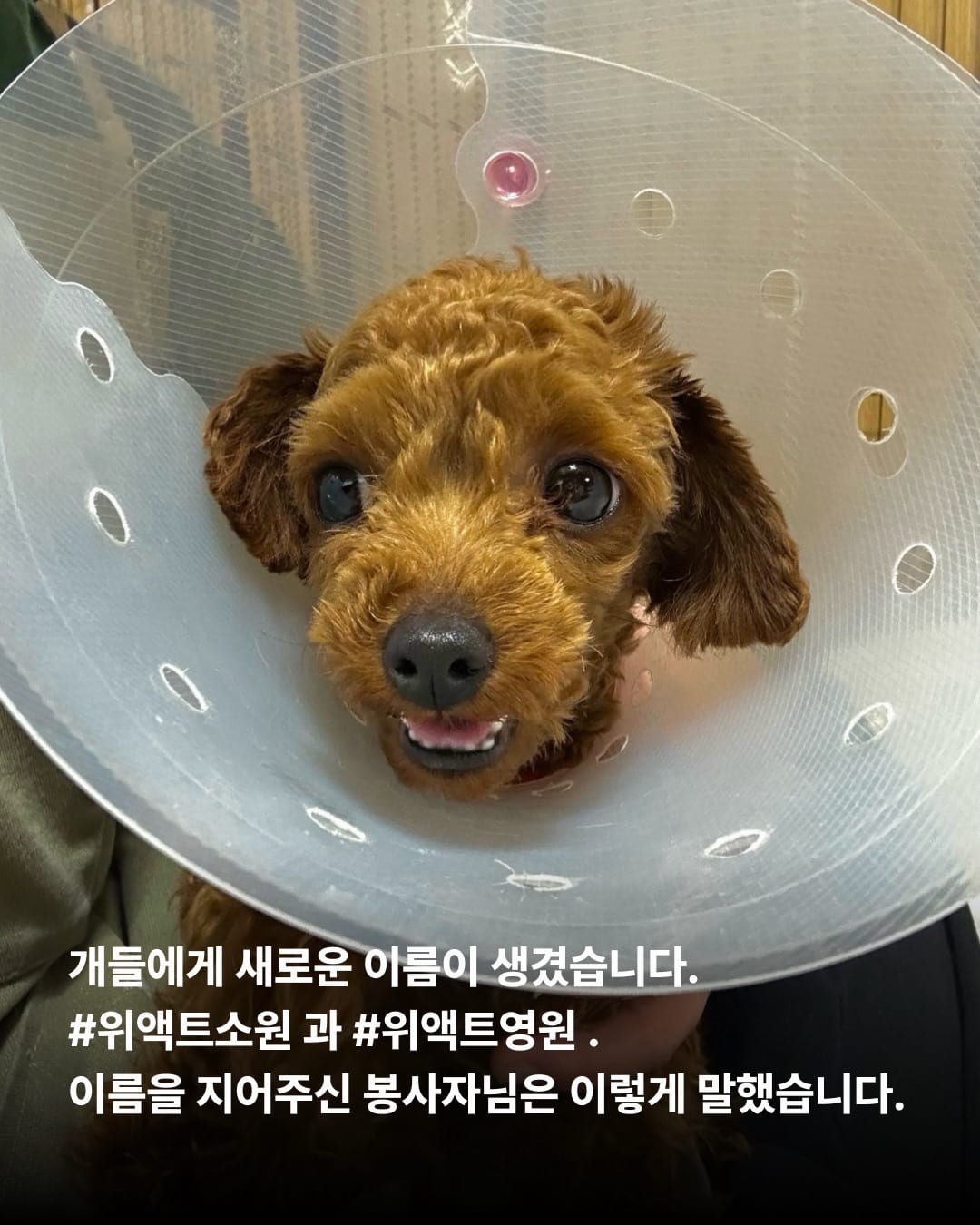 상세 사진 8