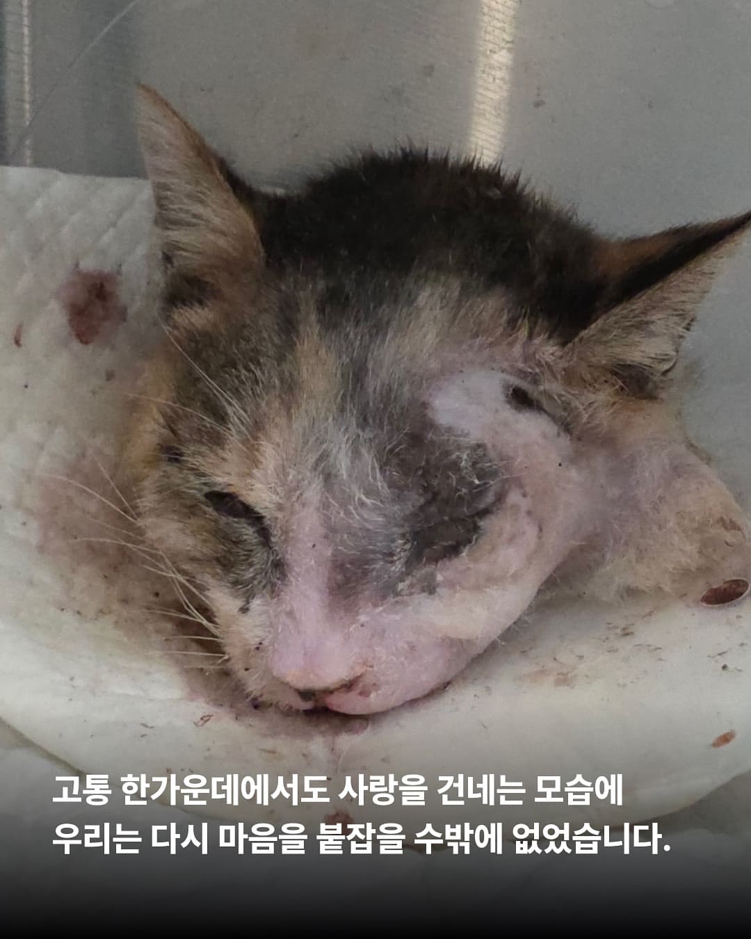 상세 사진 4