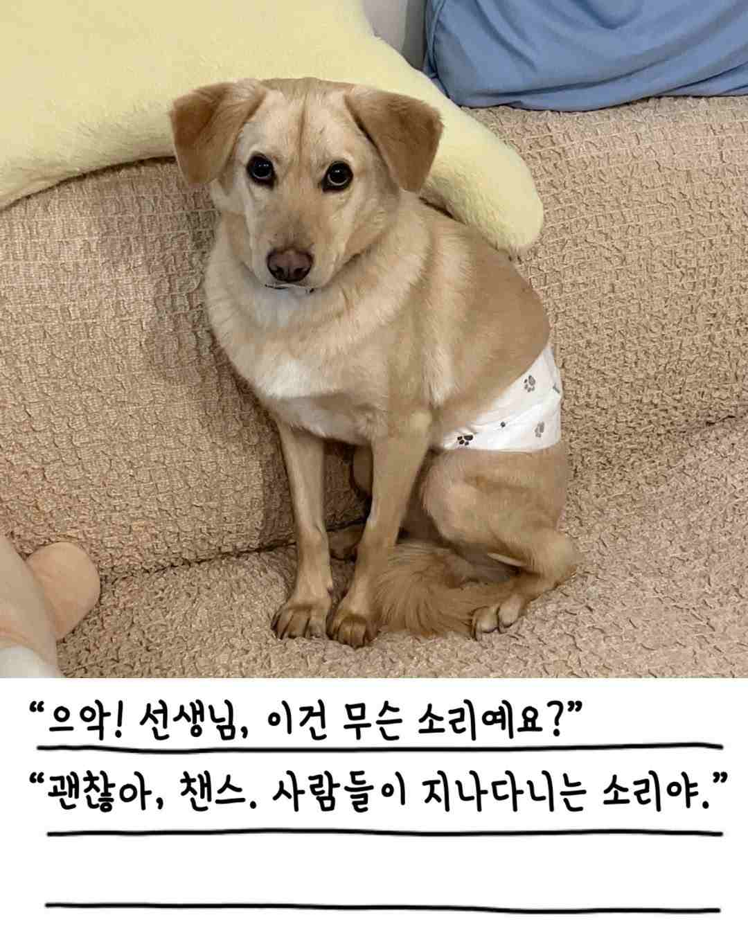 상세 사진 4
