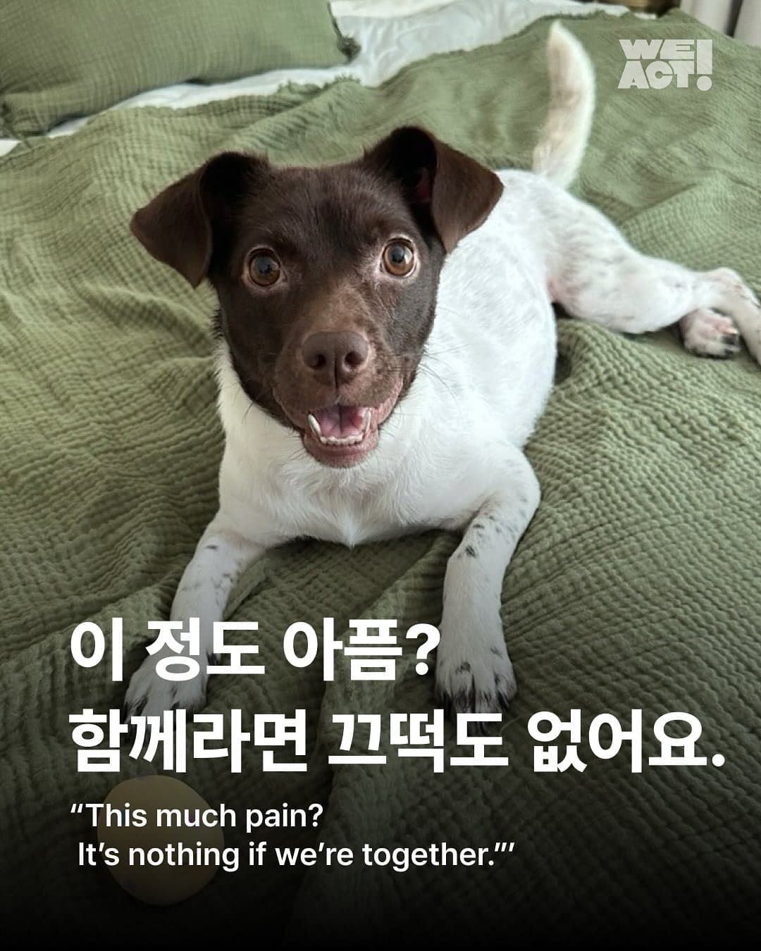 상세 사진 1