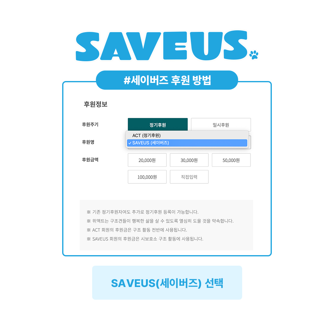 상세 사진 4