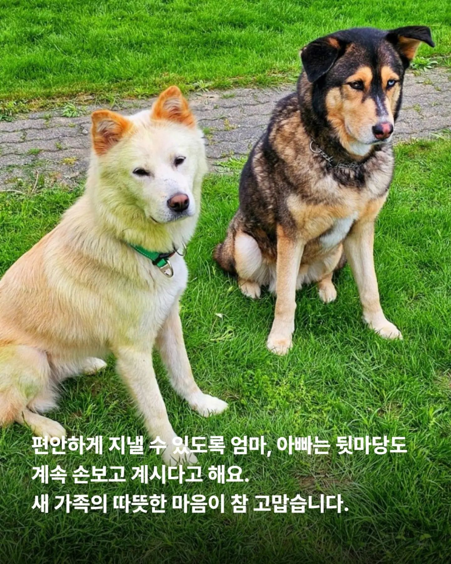 상세 사진 8
