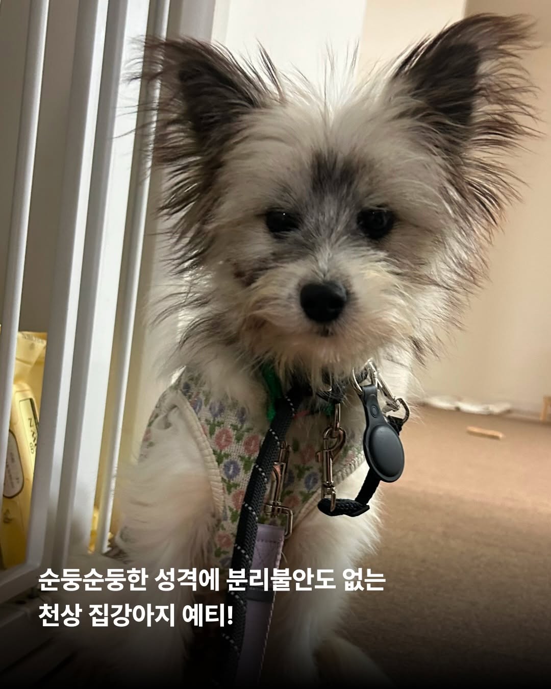 상세 사진 5