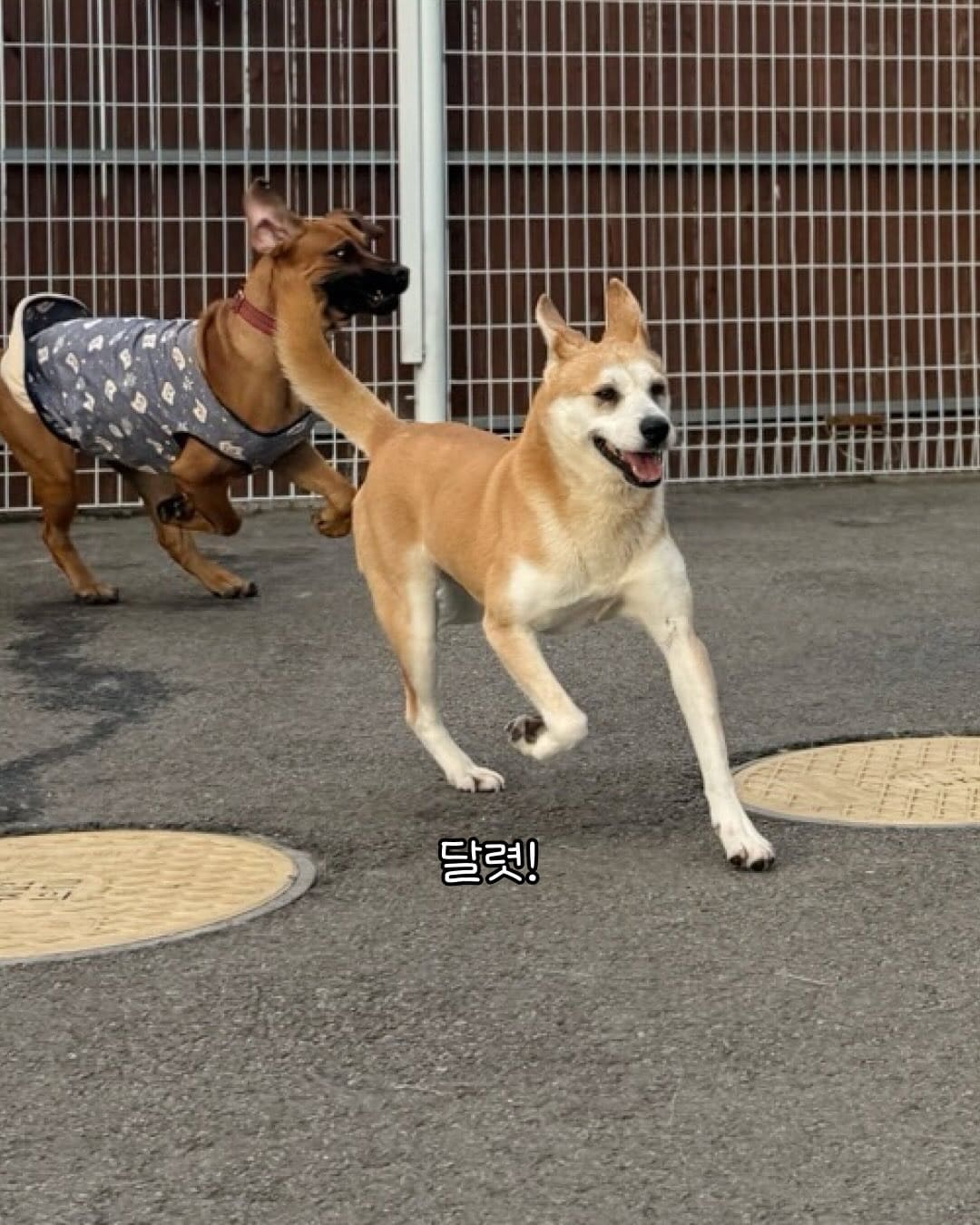 상세 사진 6