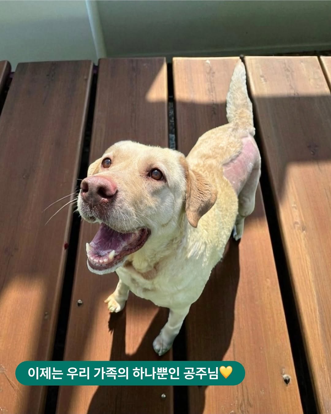 상세 사진 4