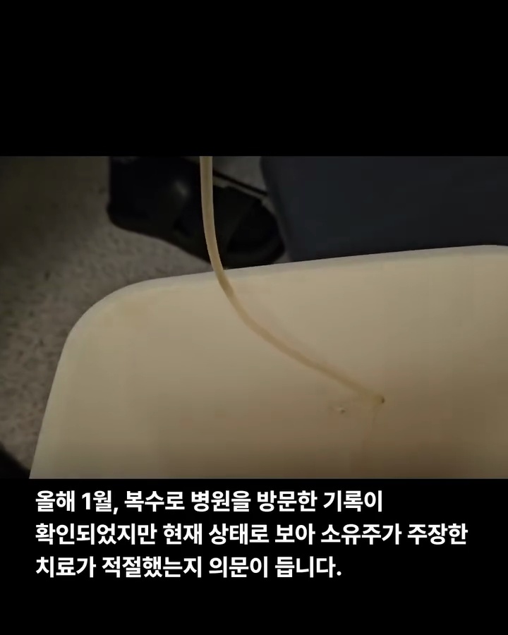상세 사진 7