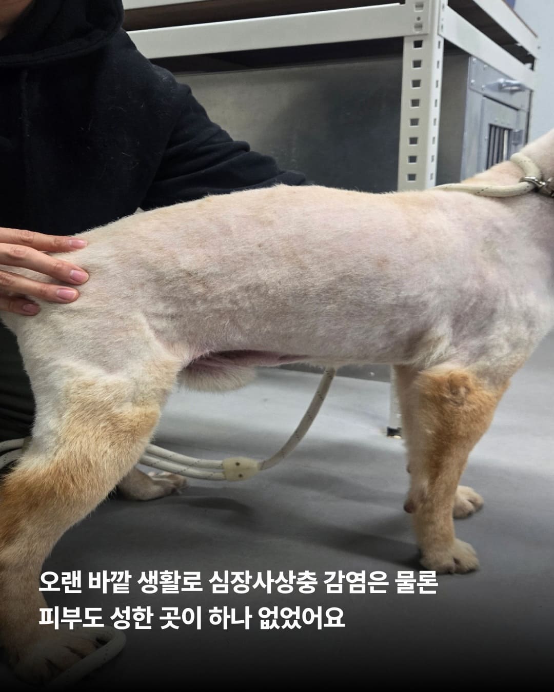 상세 사진 5