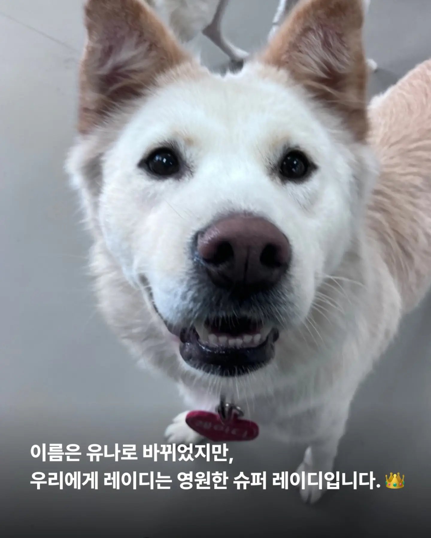 상세 사진 12