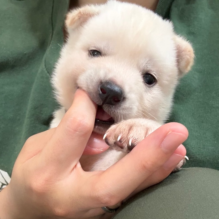 상세 사진 2