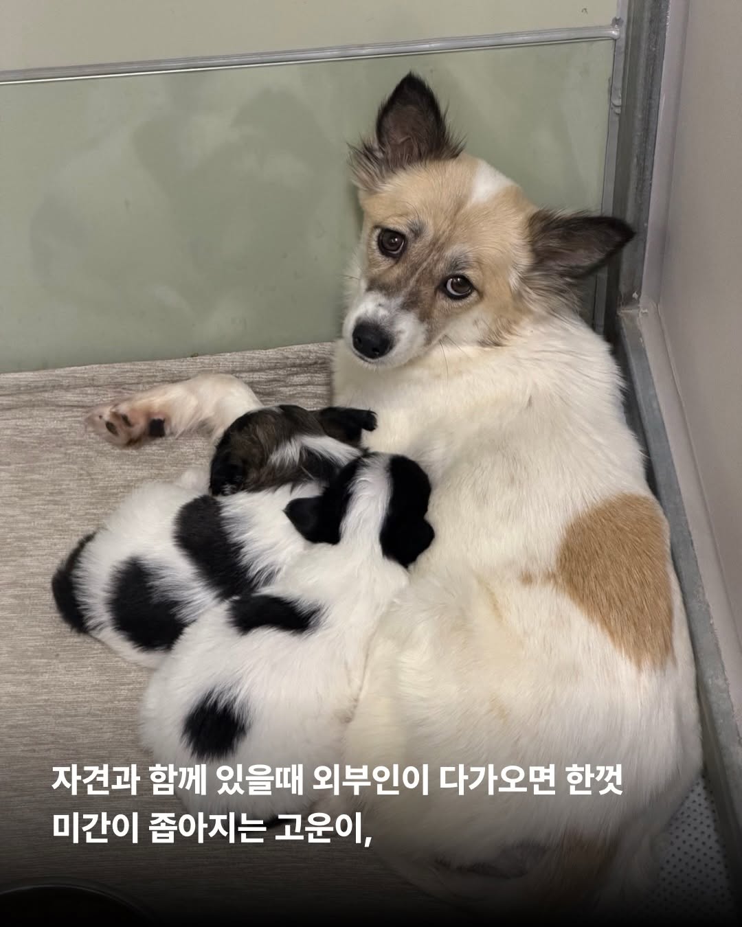 상세 사진 8