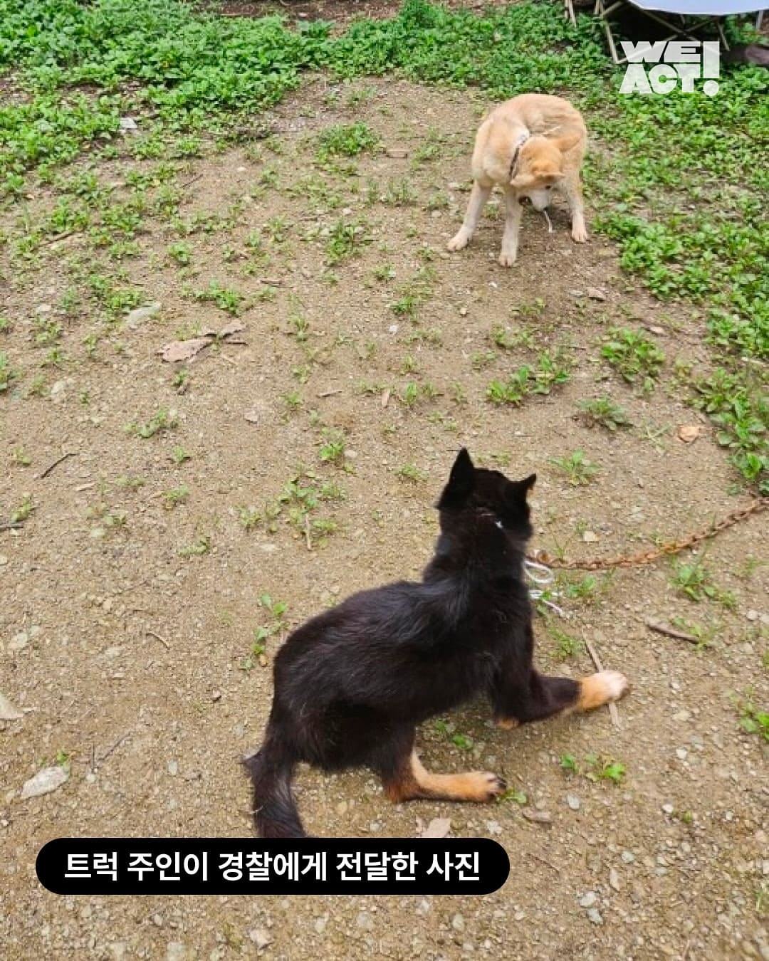 상세 사진 2