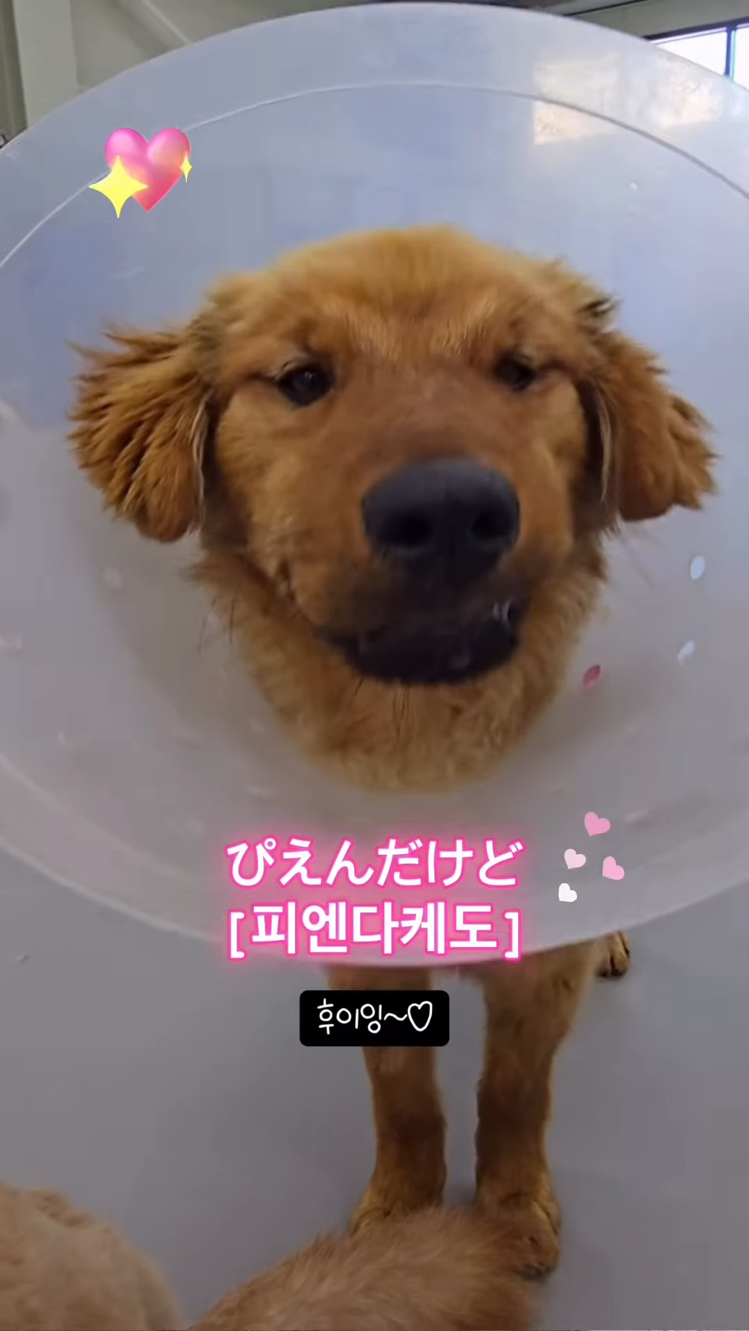 상세 사진 2