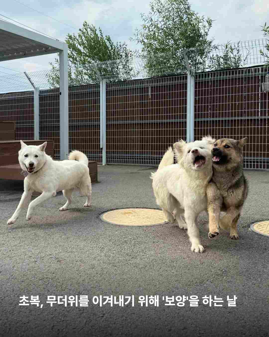 상세 사진 2