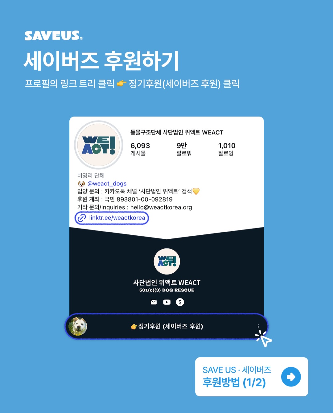 상세 사진 14