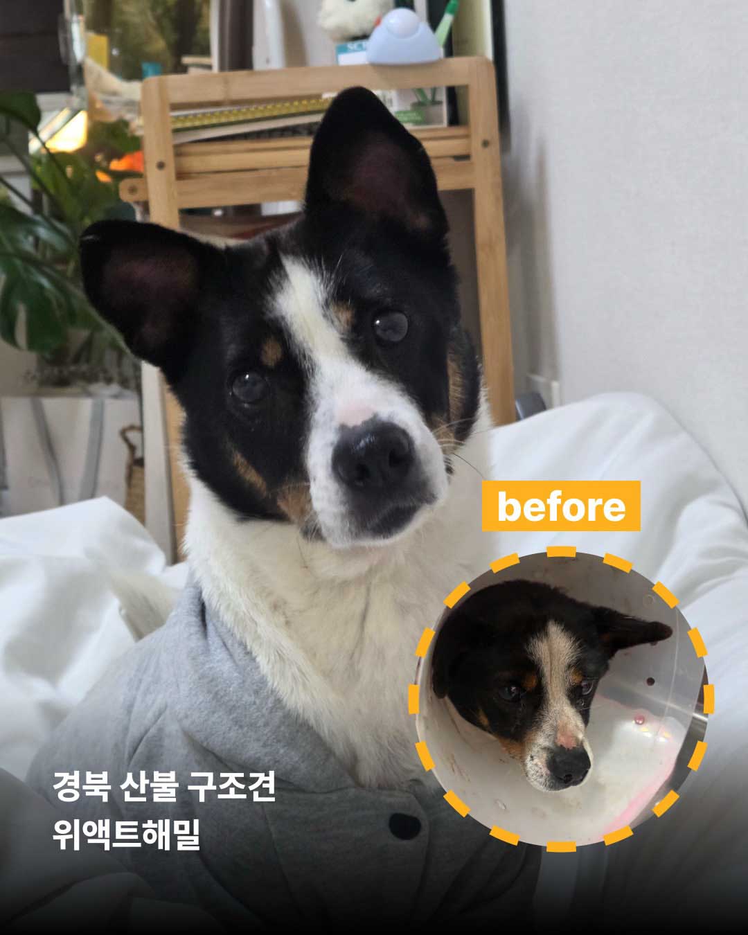 상세 사진 7