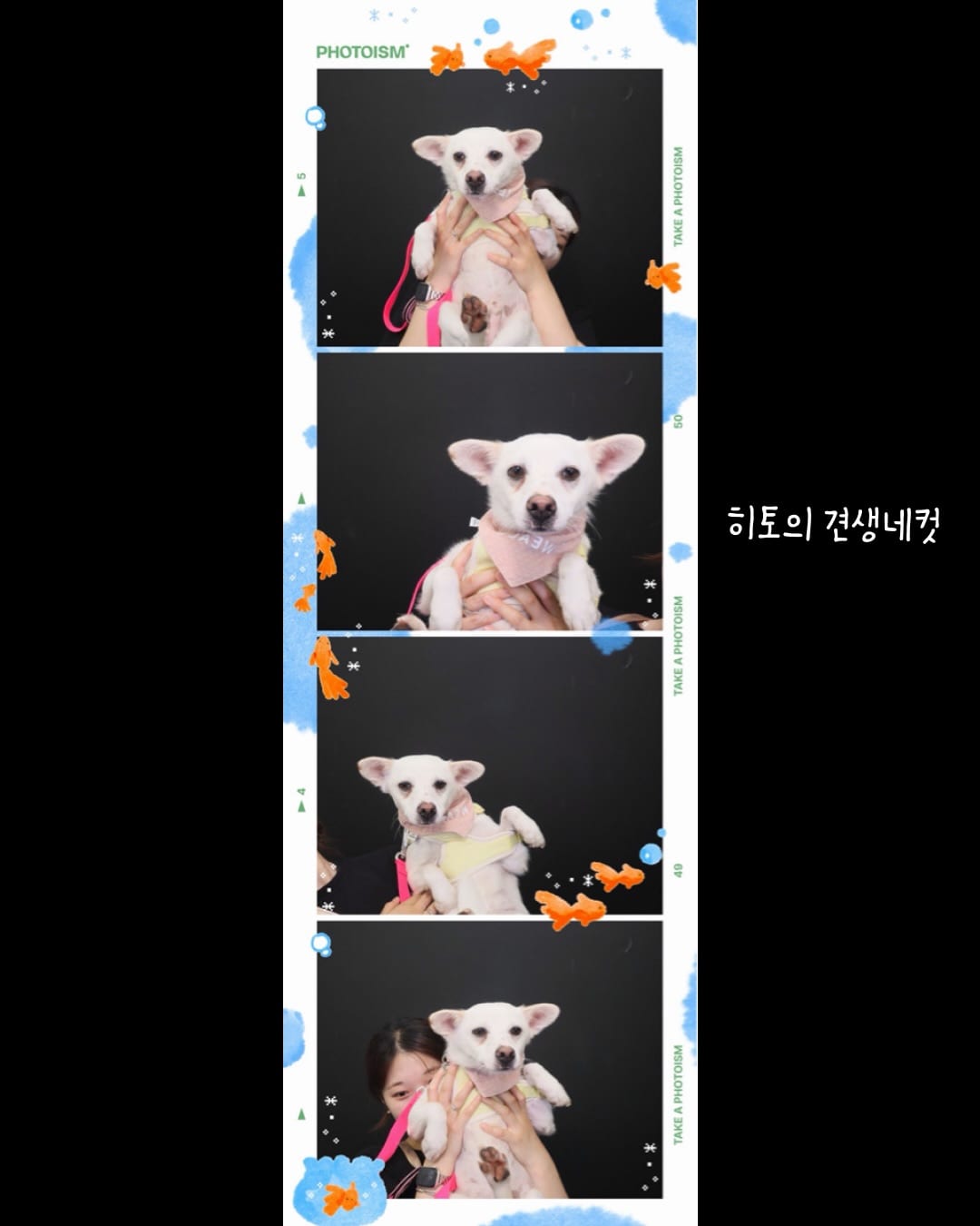 상세 사진 15