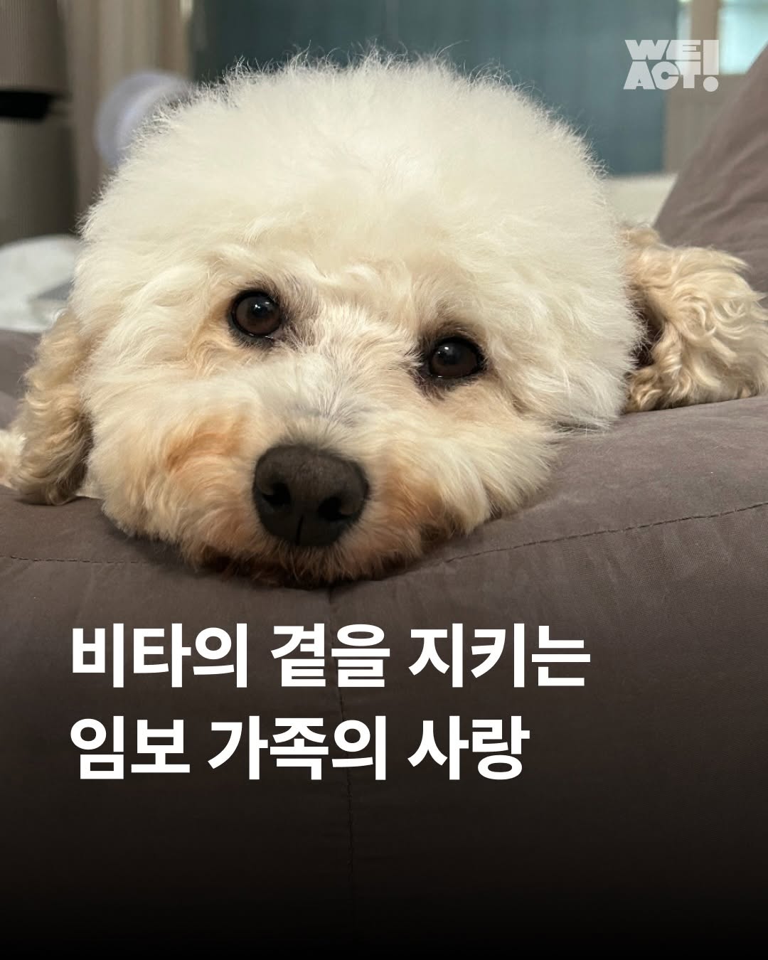 상세 사진 1