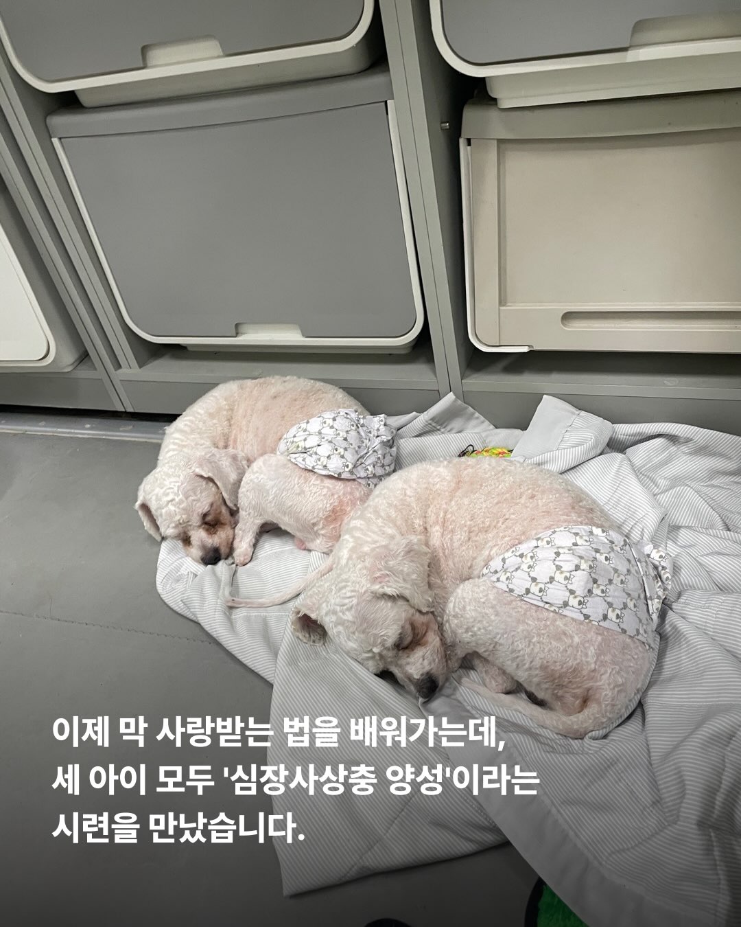 상세 사진 7