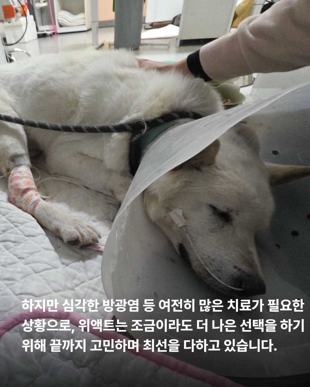 상세 사진 6