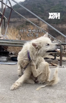 상세 사진 1