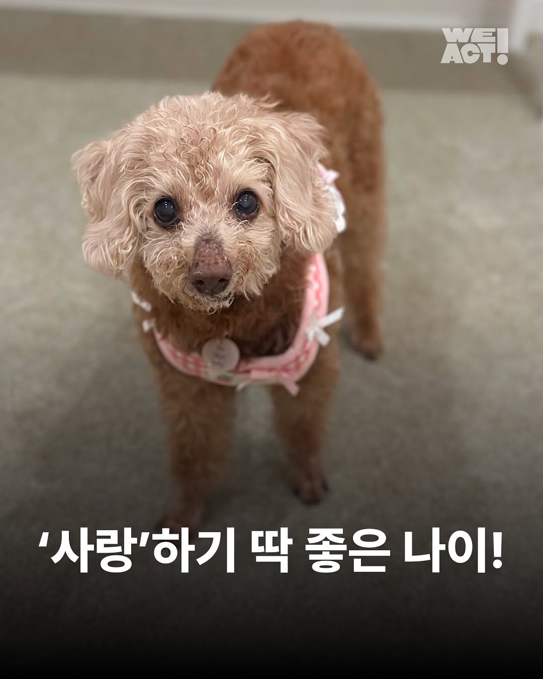 상세 사진 1