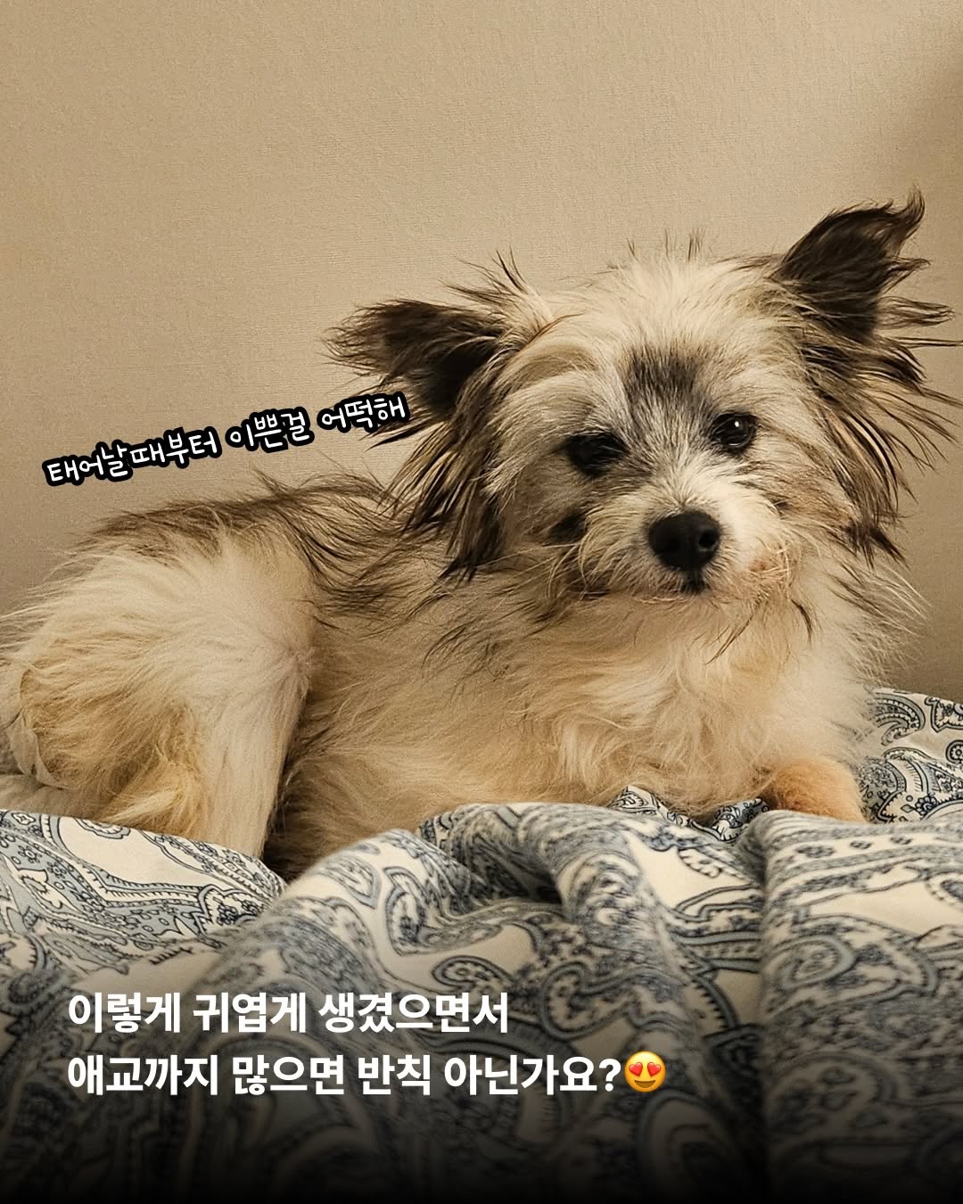 상세 사진 7